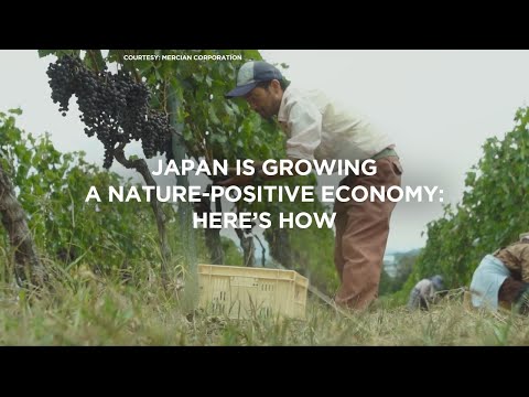 Japan is growing a nature-positive economy: here’s how