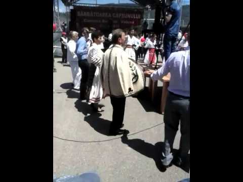 Sarbatoarea capsunului 2015-Bunesti Valcea(4)