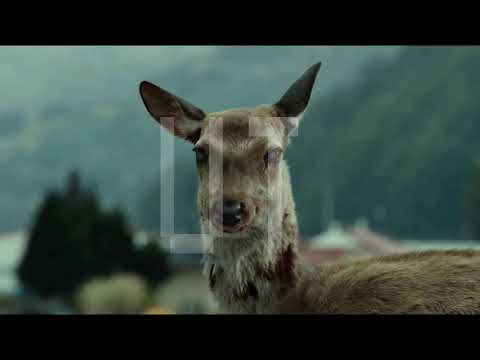 PremeVirus - PREMEVIRUSB09 (PROD.5:10 X NEXX)