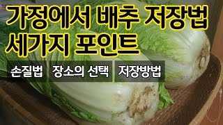 가정에서 배추 저장법 - 세가지 포인트