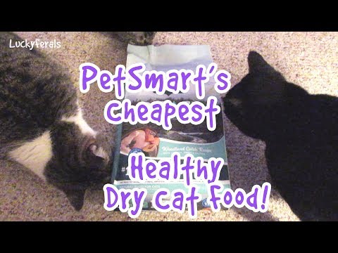 PetSmart's Cheapest Healthy Dry Cat Food (Crunchies)