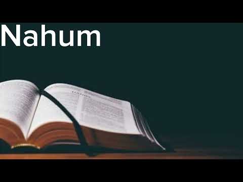 English Audio Bible - Nahum (COMPLETE) - New International Version (NIVUK)