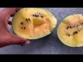 Janosik & Lemon Drop Watermelon Harvest! How To Know When Any Home Grown Watermelon Is Ripe & Sweet!
