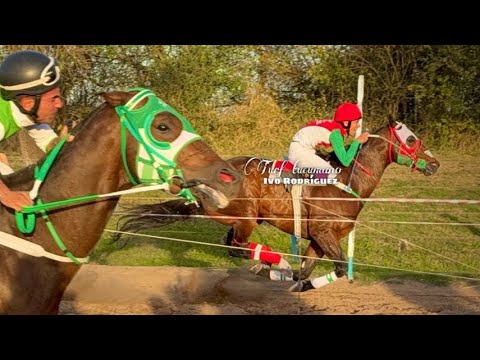 Sadam vs Fugitivo (Hipico Campin - Leales - Tucumán