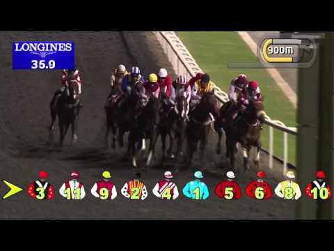 07.11.2013 Meydan (Dubai-UAE) 2.Race Emirates Holidays - Handicap 1.400 m