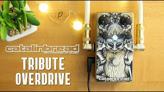 Video thumbnail for Catalinbread Tribute Parametric Overdrive by Pedal of the Day