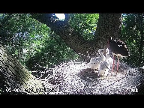 Lodz DAB~Parent brings breakfast and water~8:46 AM 2019/06/09