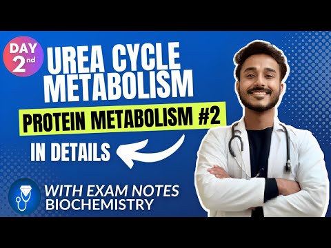 Urea cycle biochemistry | urea synthesis biochemistry |  protein metabolism biochemistry |