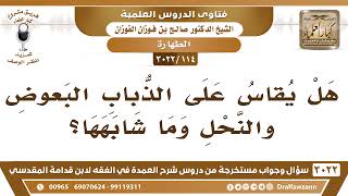 صورة [114 -3022] هل يقاس على الذباب البعوض والنحل وما شابهها؟ - الشيخ صالح الفوزان