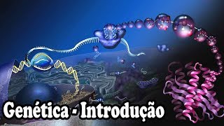 Introdução à genética - Conceitos básicos que você precisa saber