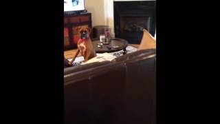 Playing with the Colonel