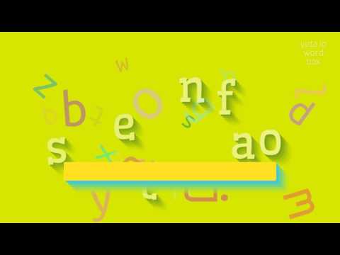 How to say "stefano"! (High Quality Voices)