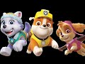 Meeting Rubble Skye Everest At Nickelodeon Universe 8 17 23