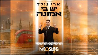 ארי גולד - יש בי אמונה הרמיקס הרשמי | Ari Gold - I Have Faith (Prod By. Dj Niso Slob Official Remix)