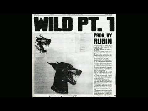 [SOLD] Billa Joe x OGT x Reezy Type Beat - 🦅 WILD PT. 1 🦅 | prod. by Rubin