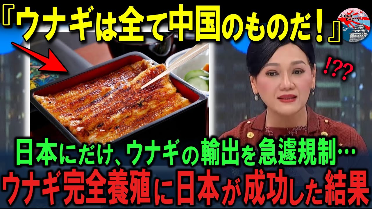 「中国がウナギで圧力…」でも日本がやってのけた“完全自立”の一手【ニュース/海外の反応/解説】