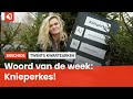 Het Twentse woord van de week: Knieperkes!