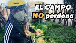 Menuda paliza arreglando la finca… y los miedos de vivir aquí 🌱 Vlog276