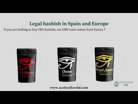 Legal hashish in Spain: Unique, Organic, High-Quality