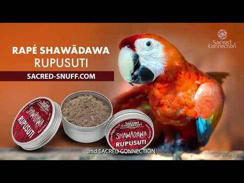 The Shaman Behind the Snuff - Interview with Rapé maker Shawãcaiá Shawãdawa
