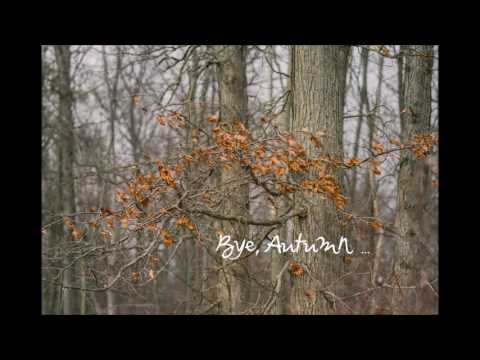 Bye, Autumn - Saltnpaper