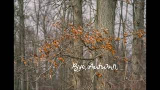Bye, Autumn - Saltnpaper