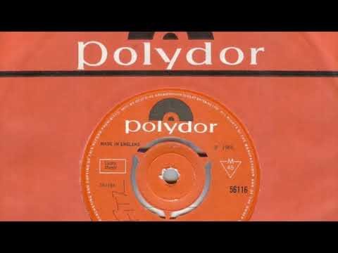 The Nightriders – It's Only The Dog