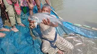 মাঠ দিবস