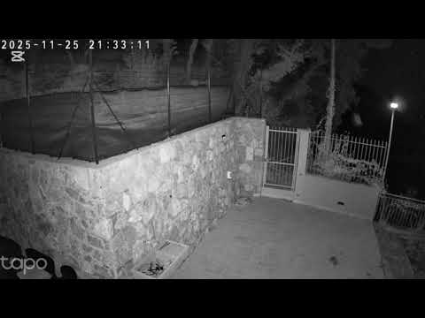 Banda di ladri in Camporosso 