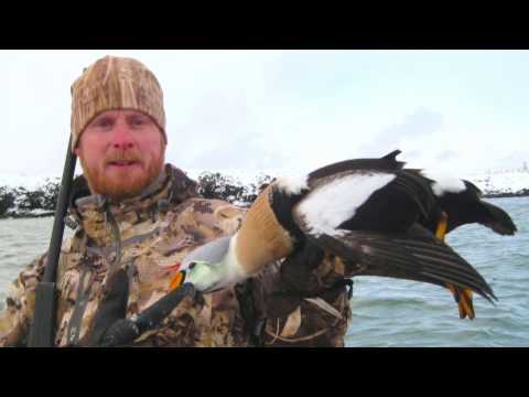 Alaskan Top King Eider Outfitters -To Kill a King