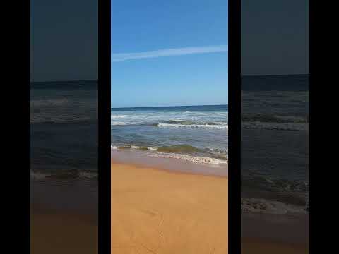 Best beach in Trivandrum with no crowd. #hiddenbeach #plcestovisitintrivandrum