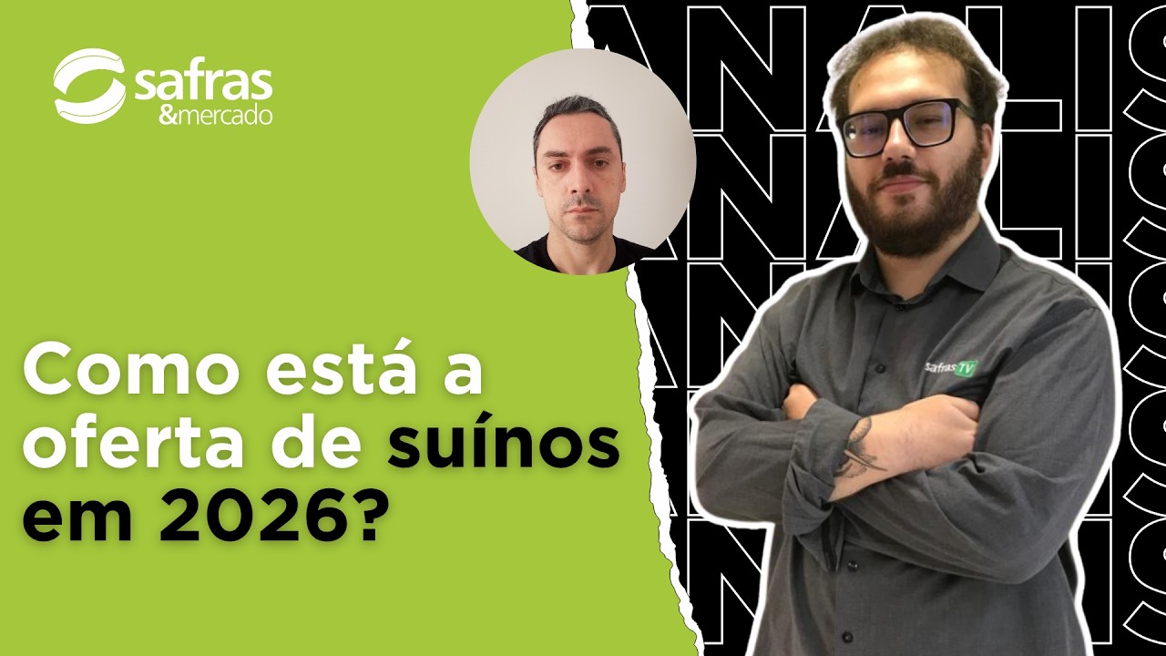Analista de Safras avalia quadro de oferta e exportações de carne suína