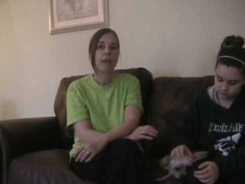 Dogs 4 Life Training and Wellness, Bloomingdale IL  testimonial.wmv