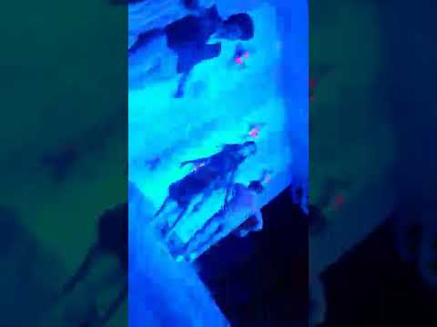 Vojpuri dj dance soumitra