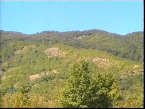 kole marashi dhe deli ndou.