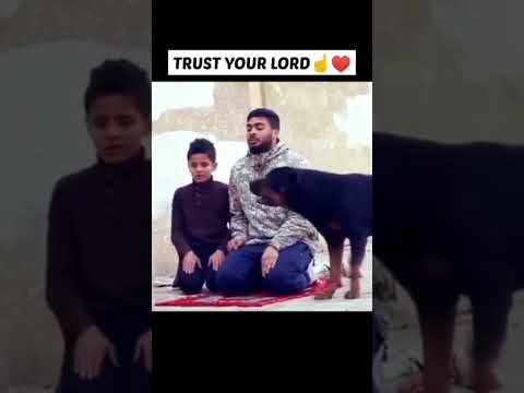 dog tries to attack father and son when they were prying  there is no God but Allah #islam #shorts