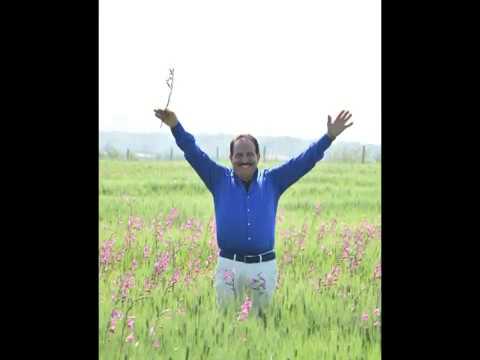 Orchestra Silvestro Folk - Donna Paolina