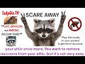 Scare Away Raccoons living in your attic.  LOUD SOUNDS 30 Minutes
