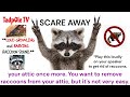Scare Away Raccoons Living In Your Attic LOUD SOUNDS 30 Minutes