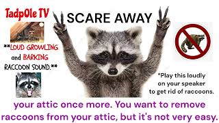 Scare Away Raccoons living in your attic.  LOUD SOUNDS 30 Minutes