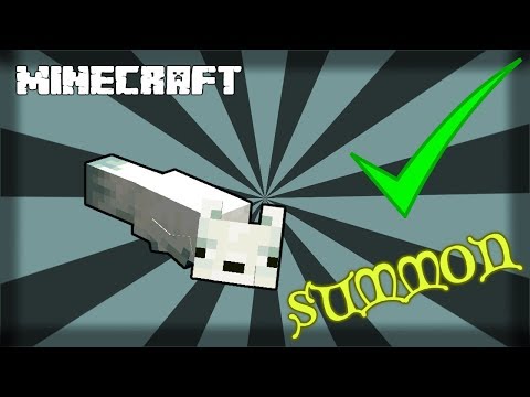 MINECRAFT | How to Summon the White Arctic Snow Fox! 1.15