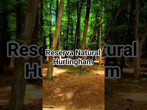Reserva Natural , pulmón verde 🌿 Hurlingham Zona Oeste #Hurlingham #ReservaNatural #ZonaOeste