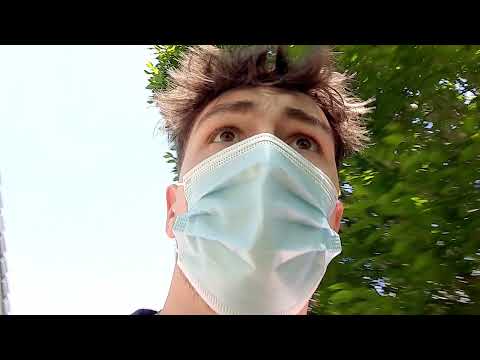 Rapport pas trop moral de l'ASVH