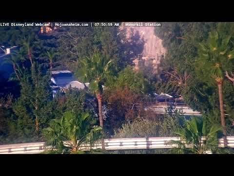 Live webcam of Disneyland Cam