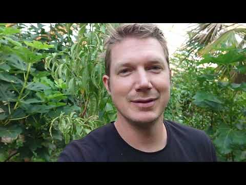 Sista mullbären för denna säsongen!