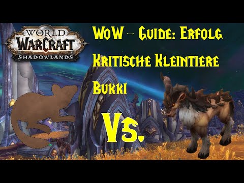WoW-Guide: Erfolg: Kritische Kleintiere - Bukki - Eine Typfrage