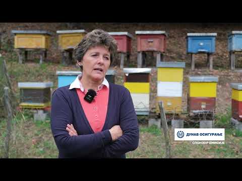 Složno, uspešno! ep. 291 14.10.2025. Pčelarsko gazdinstvo Manić, selo Osnić kod Boljevca