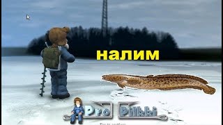 Где и как ловить налима propilkki2