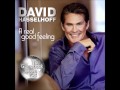 David Hasselhoff - It's A Real Good Feeling 