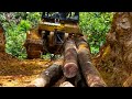 Two Heavy Machinery Pulling Logs From The Forest